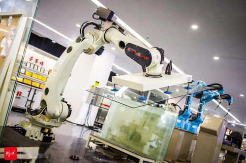 打造千億級機器人產業集群,順德憑什么能